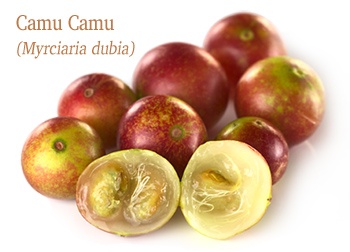 Camu Camu přírodní zdroj vitamínu C