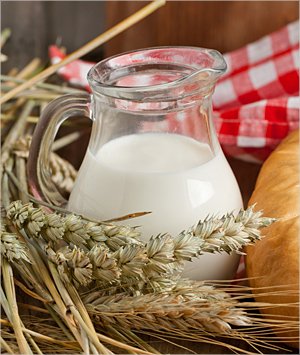 Enzymy laktázy pro lepší stravitelnost mléka