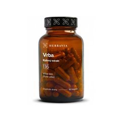 Vrba bílá 500 mg 60 kapslí