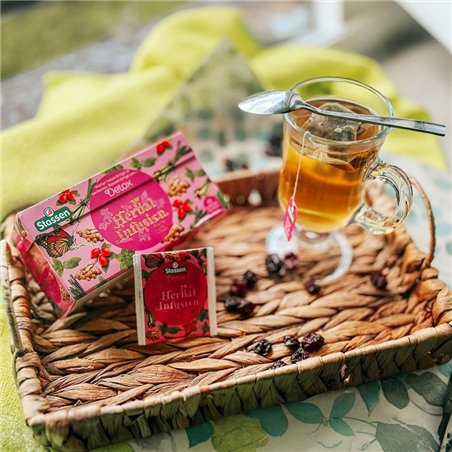 Stassen Detox bylinný čaj 25 x 1,5 g