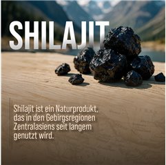 Shilajit Mumio 180 kapslí