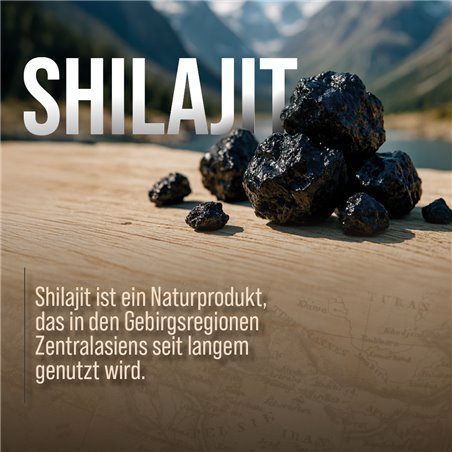 Shilajit Mumio 180 kapslí