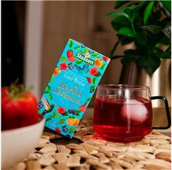 Ledový čaj - Stassen Iced Brew 25 x 1,5 g