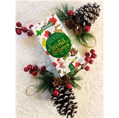 Stassen Holiday Collection 20 x 1,5 g , 5 x 1,2 g