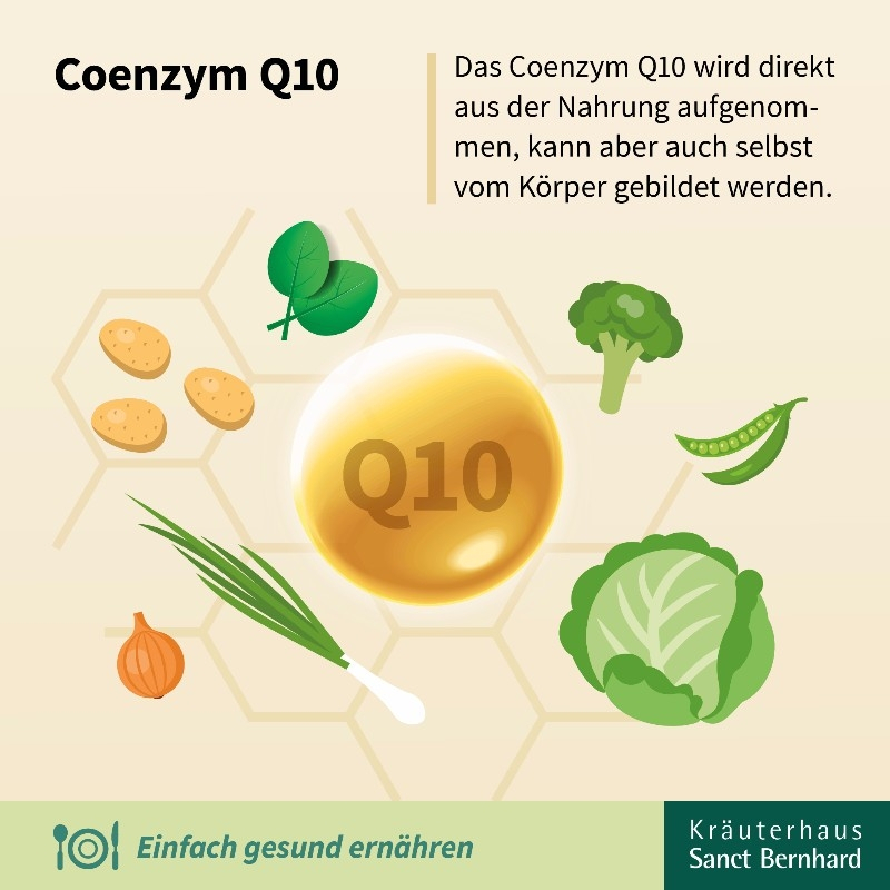 Koenzym Q10 - přírodní koenzym nejvyšší kvality