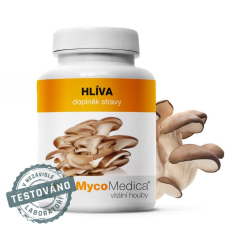 Mycomedica Hlíva 500 mg 90 kapslí - používá se v lidovém léčitelství, podporuje imunitu