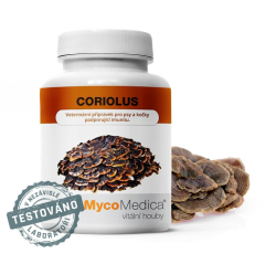 MycoMedica Coriolus 500 mg 90 kapslí - vitální houba, která podporuje imunitu, často se užívá při nádorových onemocněních