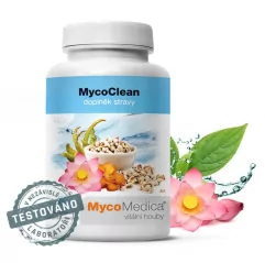 MycoMedica MycoClean prášek 99 g