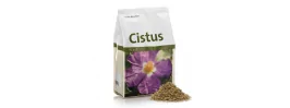 
Cistus (Cistus incanus), neboli středomořská růže, pochází ze Středomoří, kde je přirozenou součástí tamní vegetace. Nachází se především na strmých horských úbočích.


Cistus (Cistus incanus) je čaj s mimořádně vysokou hodnotou polyfenolů.
