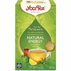 Bio Pro Smysly - Přirozená energie Yogi Tea 17x2 g
