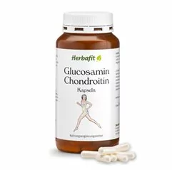 Glukosamin chondroitin 240 kapslí
