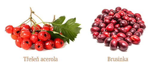 Acerola a brusinka - přírodní vitamín C v koncentrované podobě